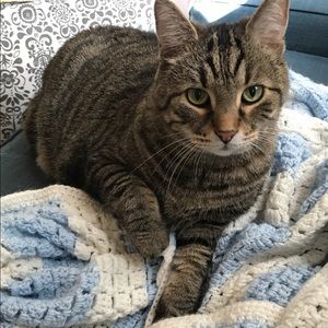 Meet your Posher, Heather